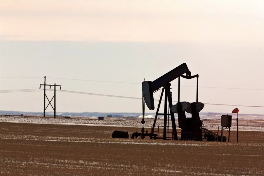 What to Do If You Find Oil on Your Property