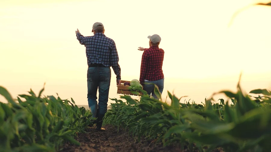 How Many Acres Do You Have to Have to Get a Farm Loan?