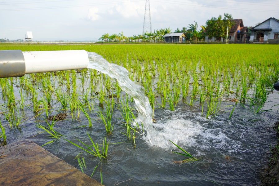 What Are Texas’s Water Laws?