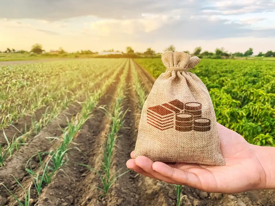How Do Farm Loans Work in Texas?