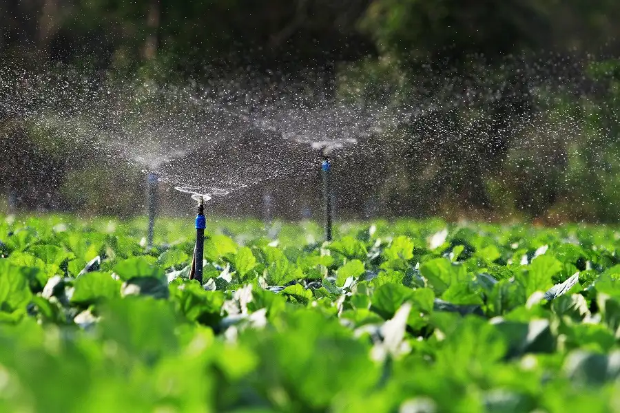 A Guide to Water Rights in Texas